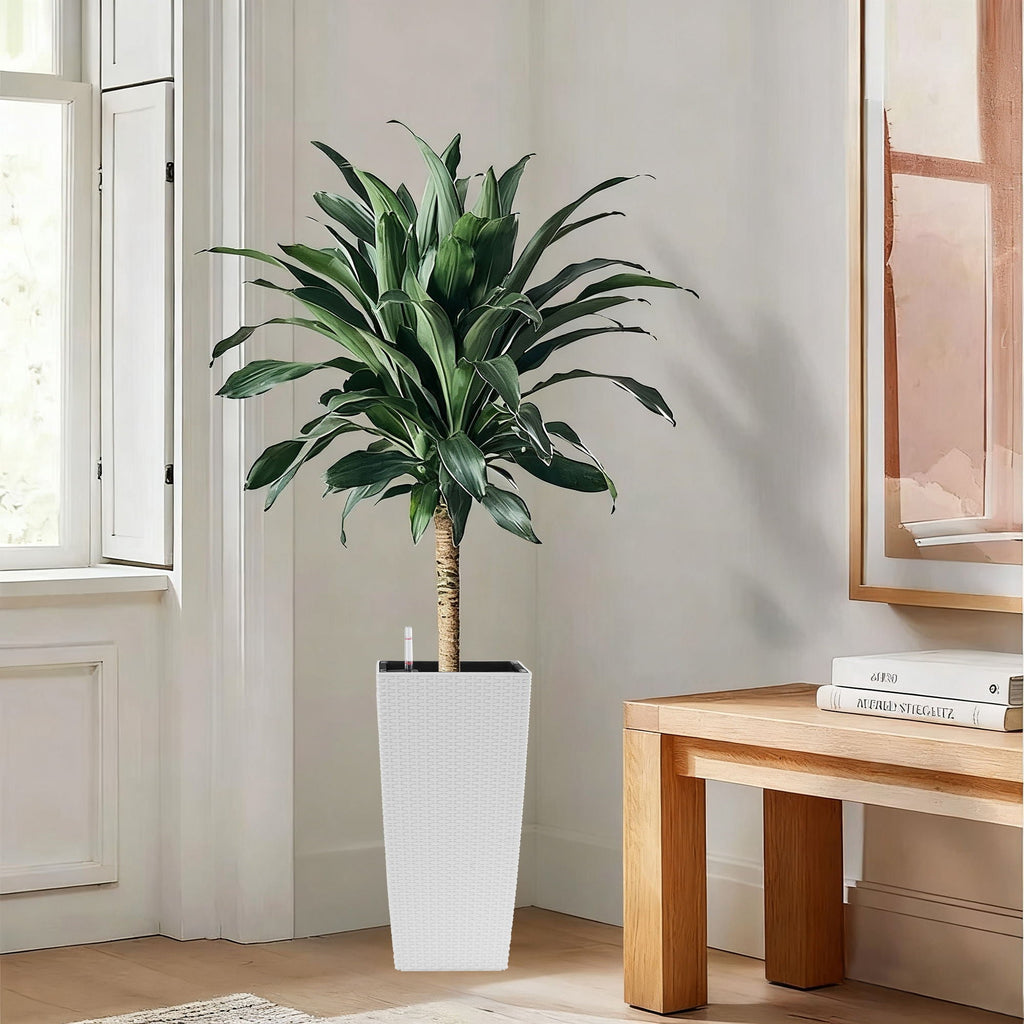 Indoor Outdoor Planter with Automatic Watering System - Dark Brown, Black, or White