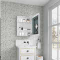24" W x 30" H Surface Frameless Mirror Medicine Cabinet