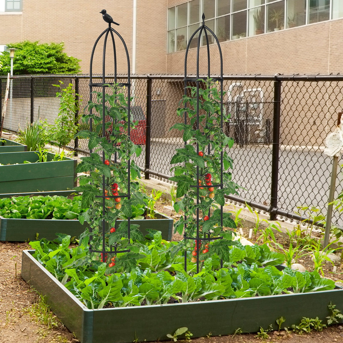 2-Pack Garden Obelisk Trellis for Climbing Plants-Black