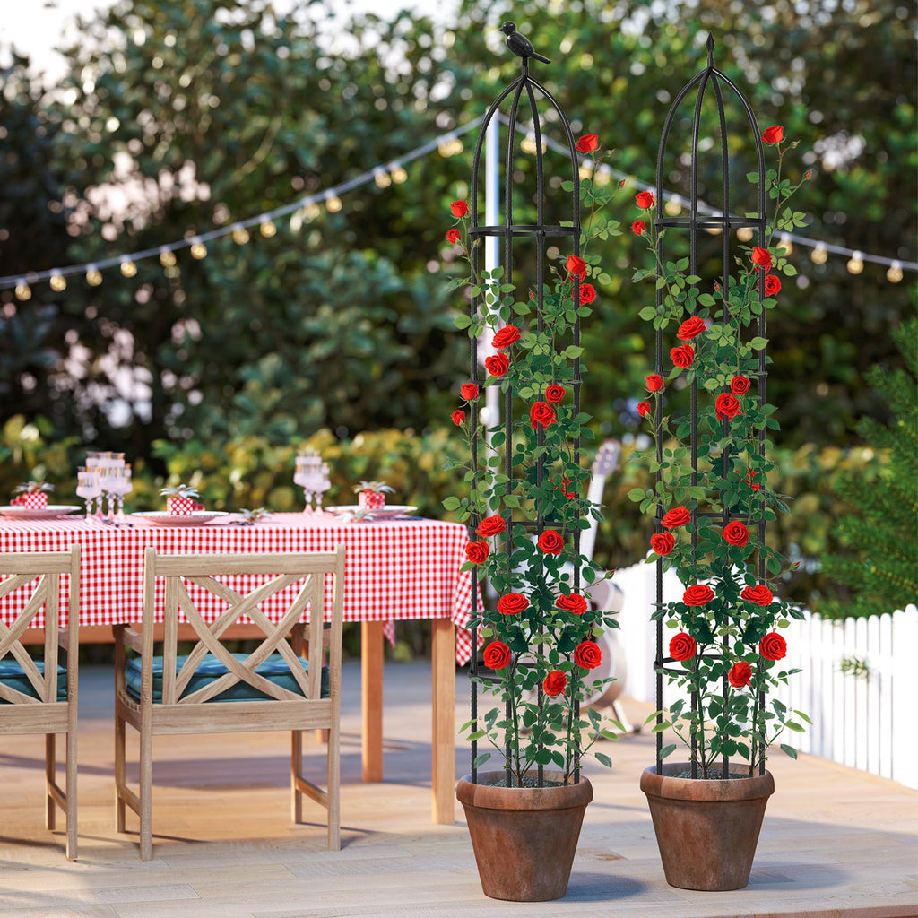 2-Pack Garden Obelisk Trellis for Climbing Plants-Black