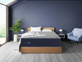 Firm Cooling Gel Mattress with Advanced Support - Twin XL