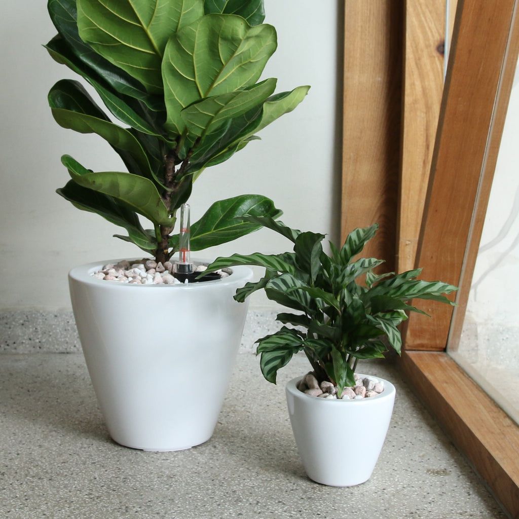 Self-Watering Planter Pot 2-Pack with Smart Design - ABS