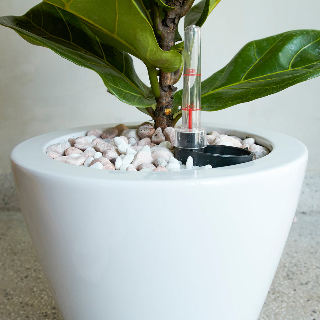 Self-Watering Planter Pot 2-Pack with Smart Design - ABS