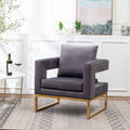 Lenola Contemporary Upholstered Accent Arm Chair with Gold Frame - Gray