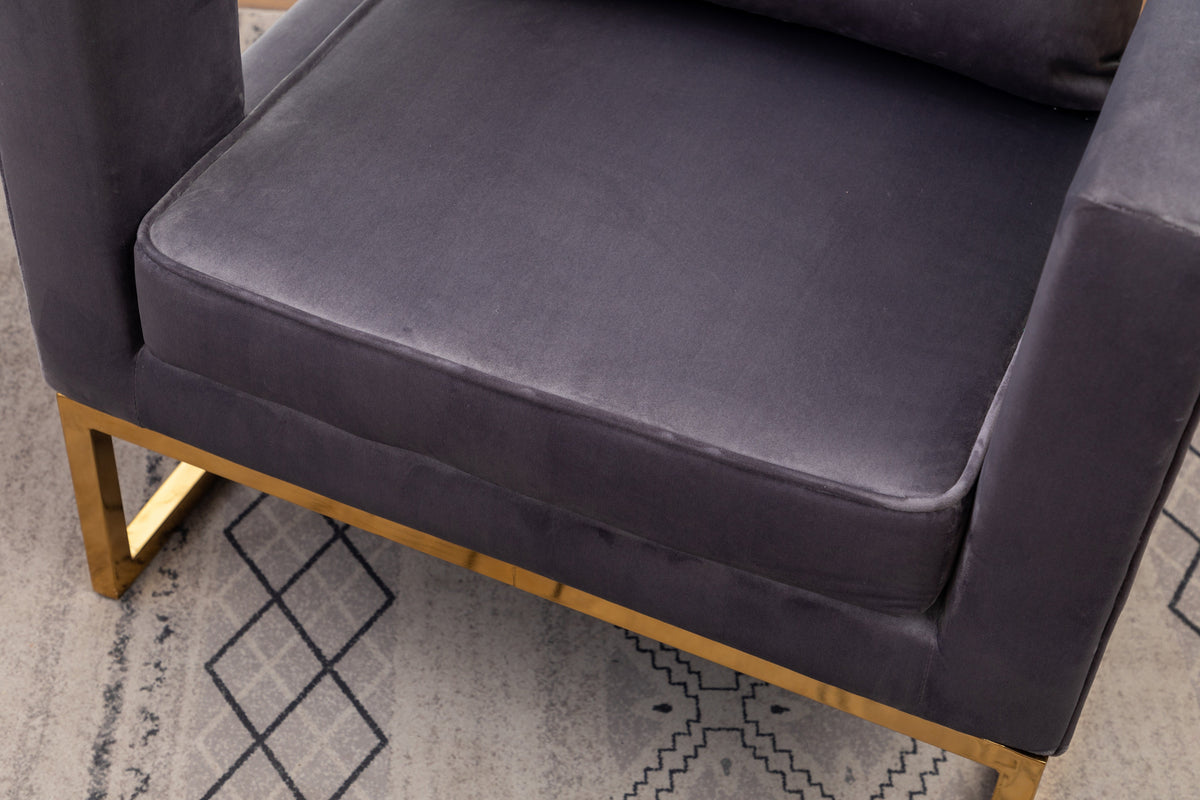 Lenola Contemporary Upholstered Accent Arm Chair with Gold Frame - Gray