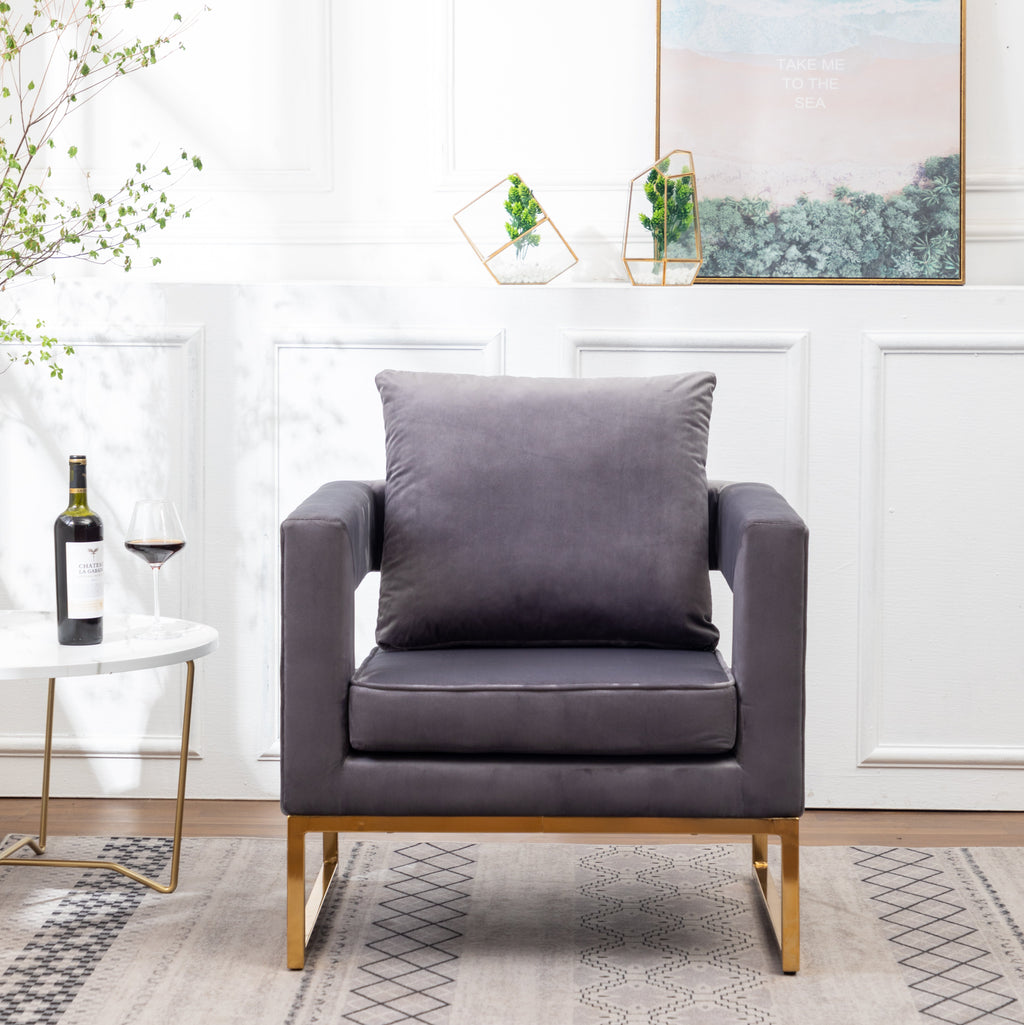 Lenola Contemporary Upholstered Accent Arm Chair with Gold Frame - Gray