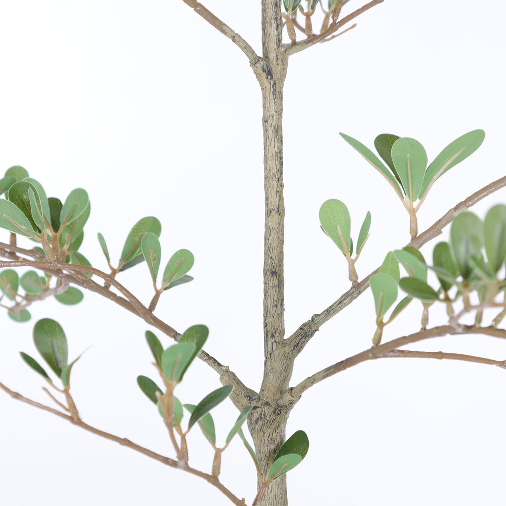6ft Artificial Olive Tree with Lifelike Leaves - Green