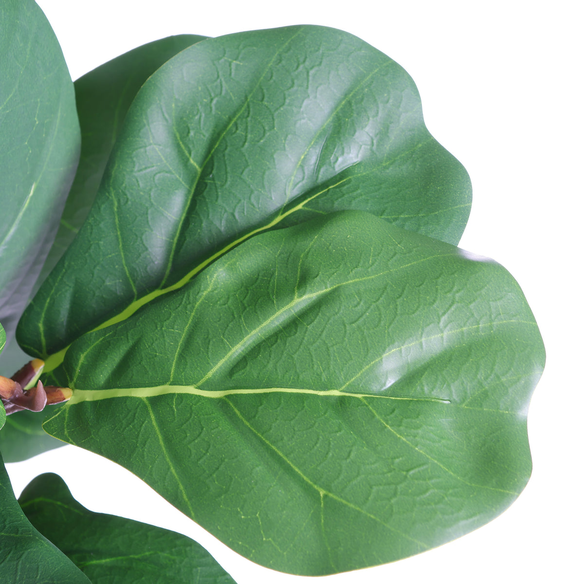 6FT Artificial Fiddle Leaf Fig Tree with White Decorative Pot - Green Leaves
