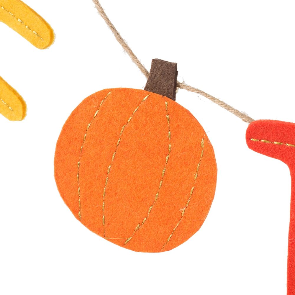 Length Colorful Give Thanks Banner Set of 2 - Orange Multi