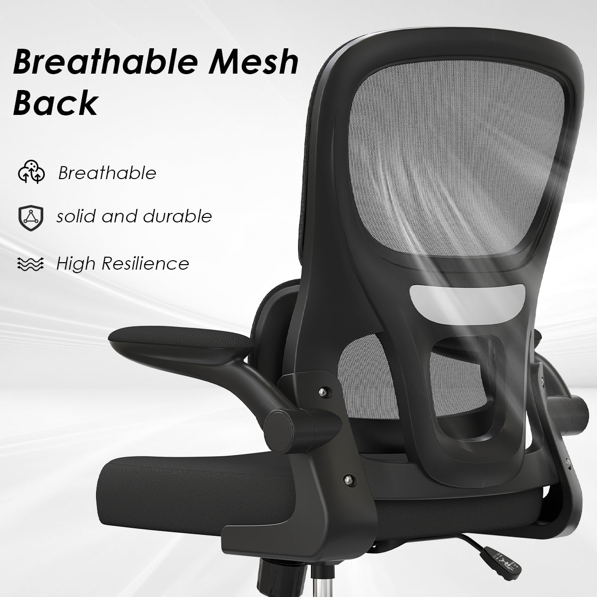 Ergonomic Mesh Office Chair with Lumbar Support - Black