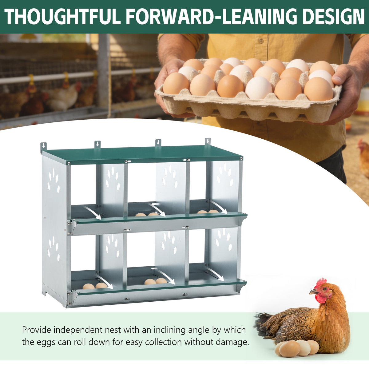 6 Room Metal Chicken Nesting Box with Galvanized Steel Construction - Green