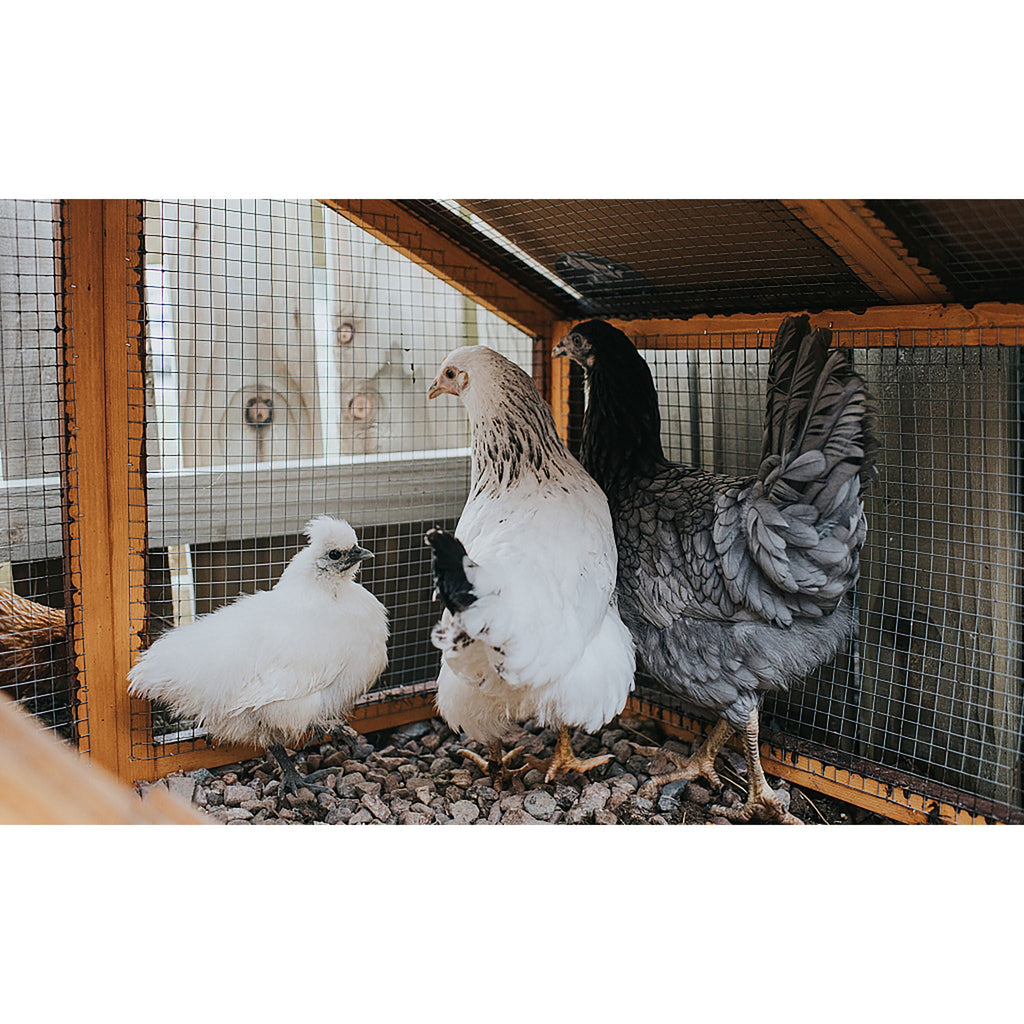 Galvanized Hardware Cloth Fence Roll with 1/2 Inch Mesh - Silver