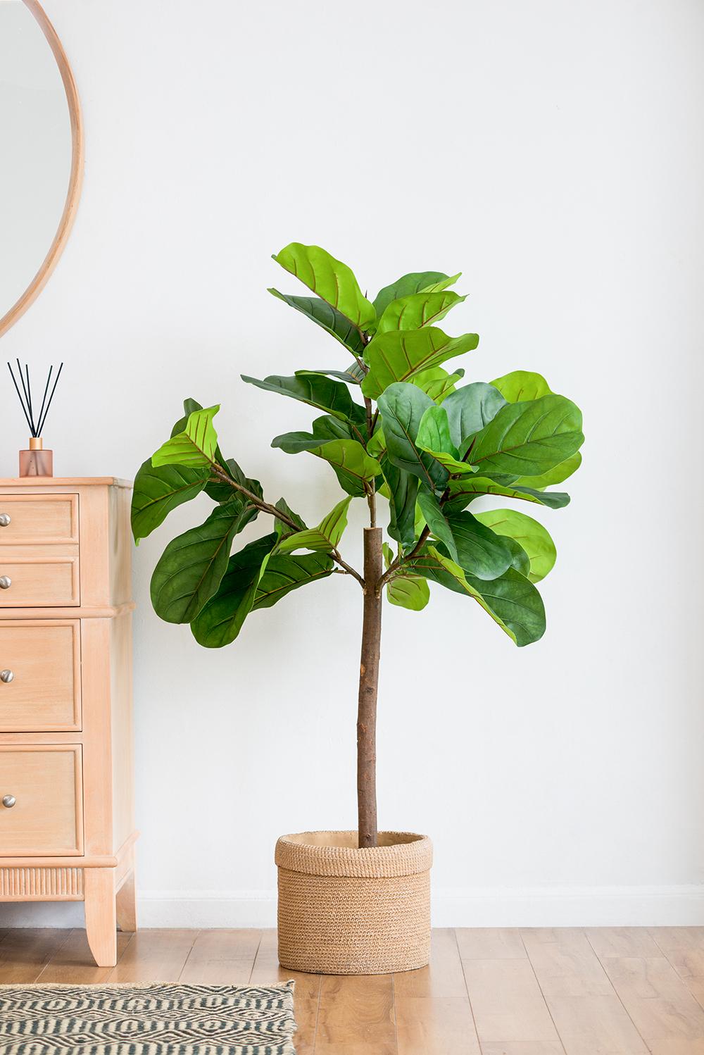 Fiddle Fig Leaf Artificial Tree with 40 Leaves - Green