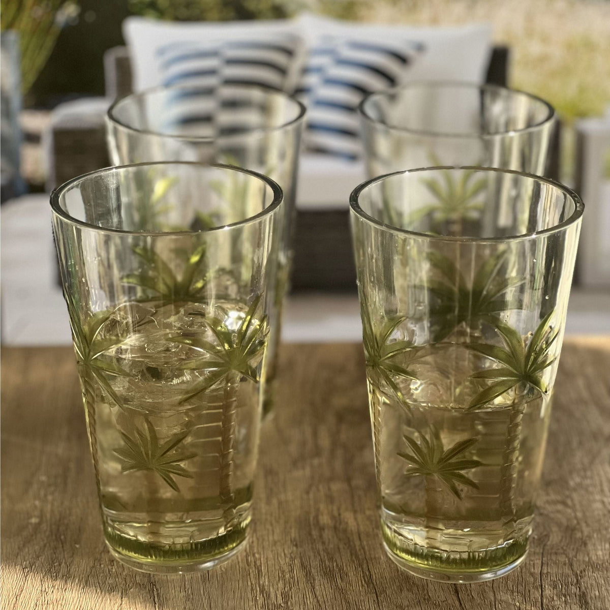 Palm Tree Design Acrylic Hi Ball Glasses with BPA-Free Durability - Clear