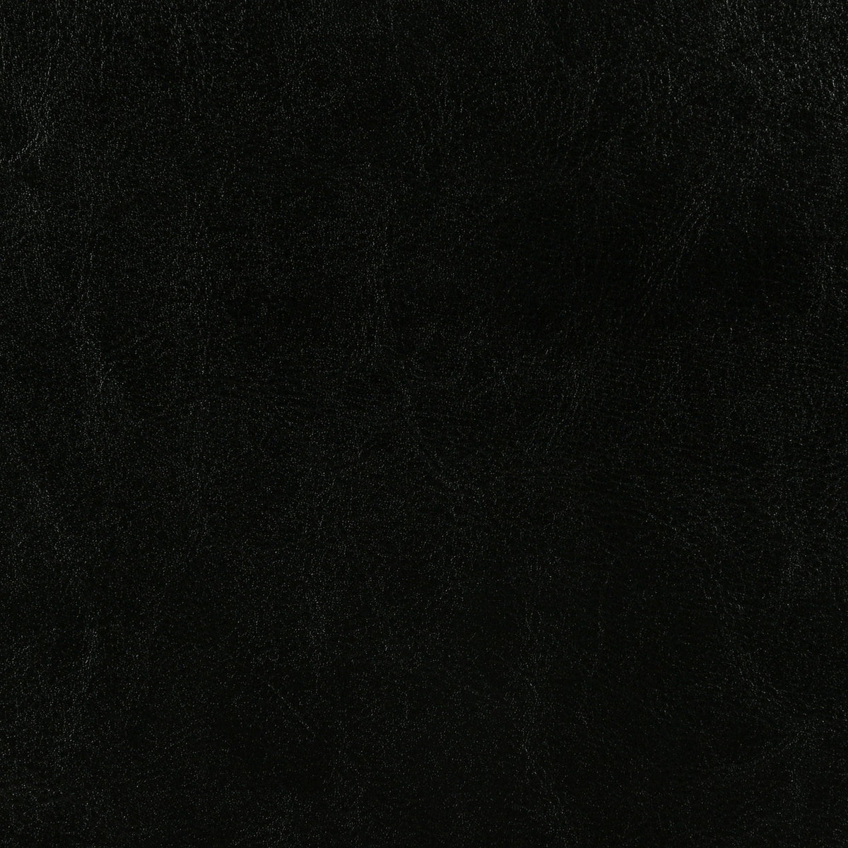 Dorian Faux Leather Upholstered Twin Panel Bed Black