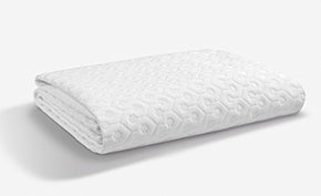 Split-Head Queen Mattress Protector with Dri-Tec Waterproof Fabric