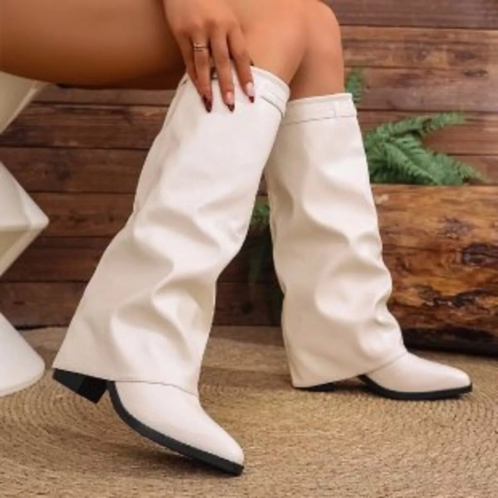 Point Toe Block Heels Boots