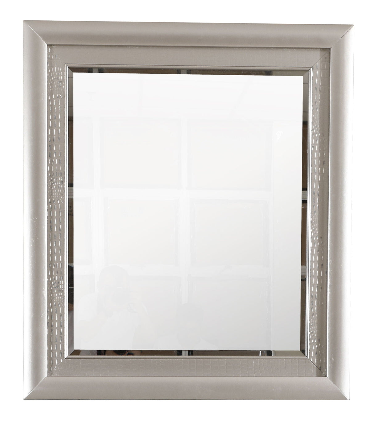 Silver Champagne Wall Mirror with Low Distortion Glass - Kat
