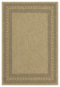 Light Brown Polypropylene Area Rug with Stain Resistance - Indoor & Outdoor