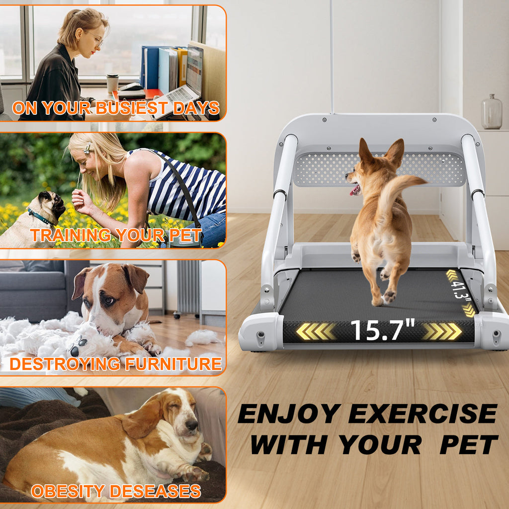 Quiet Smart Pet Treadmill with Adjustable Speed – For Small/Medium Dogs