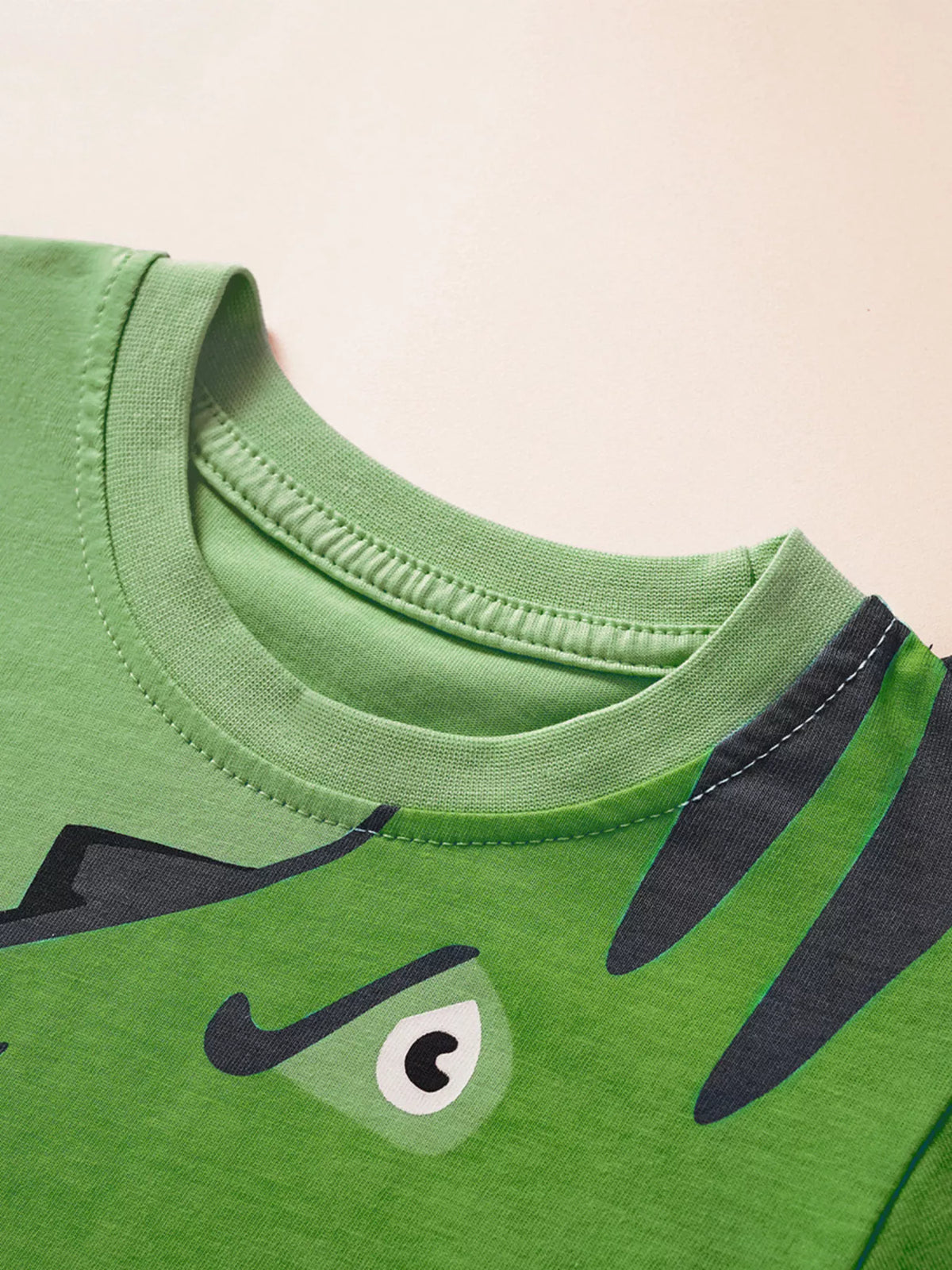 Children's Dinosaur Graphic Tee and Shorts Set