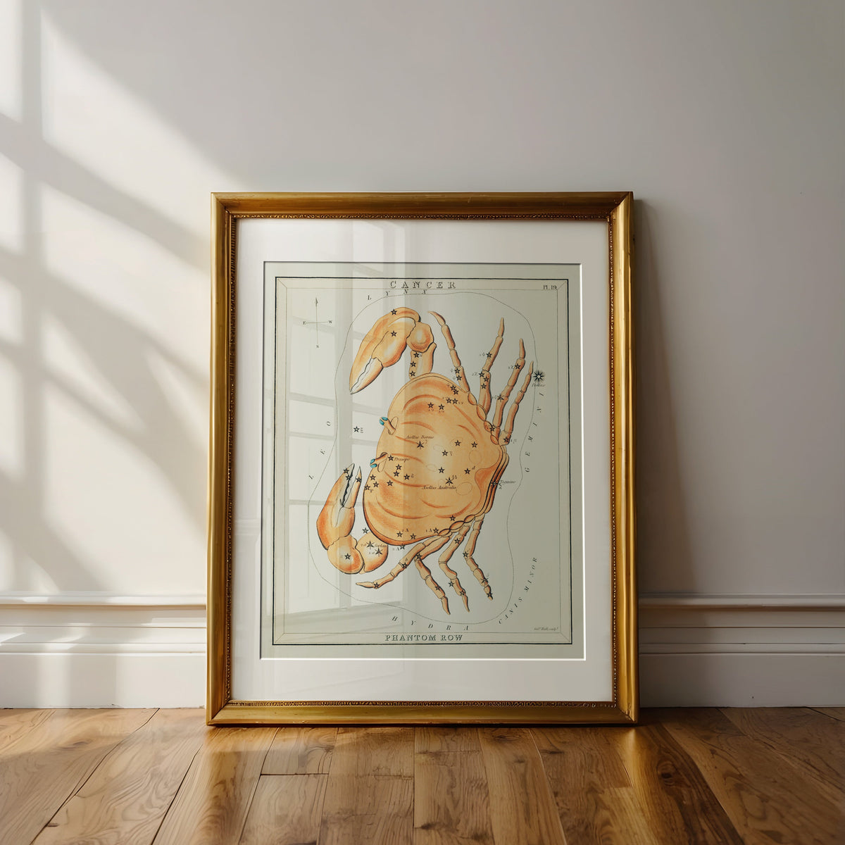 “Cancer Constellation” Astrology Art Print