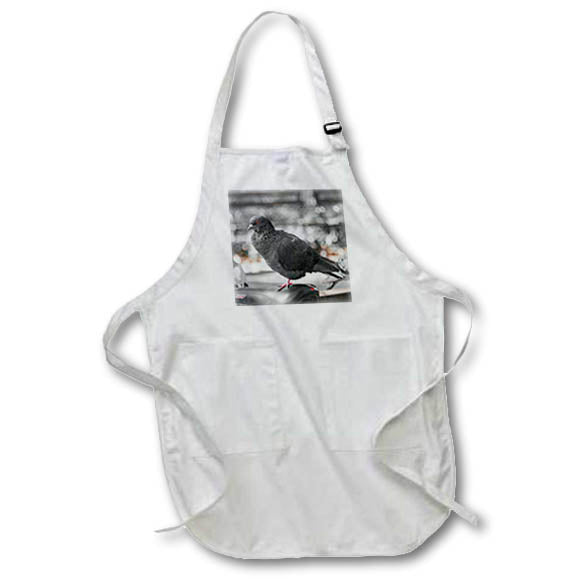 3dRose RONI Chastain Animals - NYC Pigeon Sitting ON A Bicycle - Aprons (apr_173641)