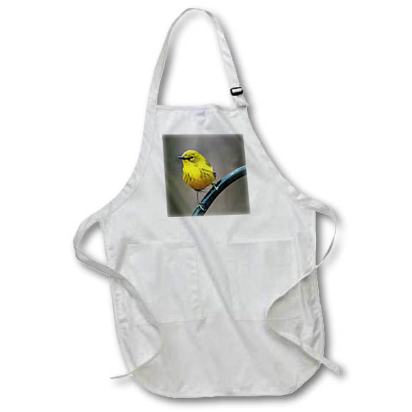 Apron - Close up photograph of a male pine warbler perched on a metal arch. Stamp City - bird