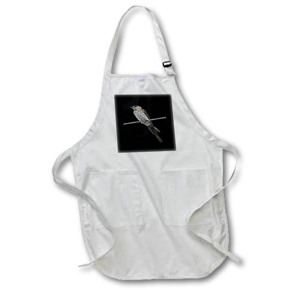 Apron - Bird On A Wire Red-Rumped Swallow Vector Art Vector Art - Swallows