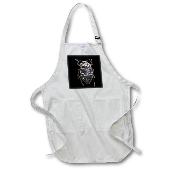 Apron - Pistachio Rootborer Capnodis Cariosa Isolated On White Vector Art - Beetle
