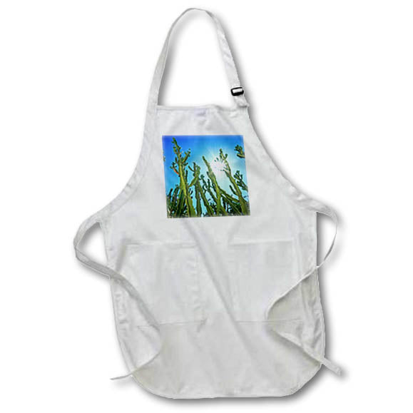 Apron - Tall cactus in the Sun Photography Landscape