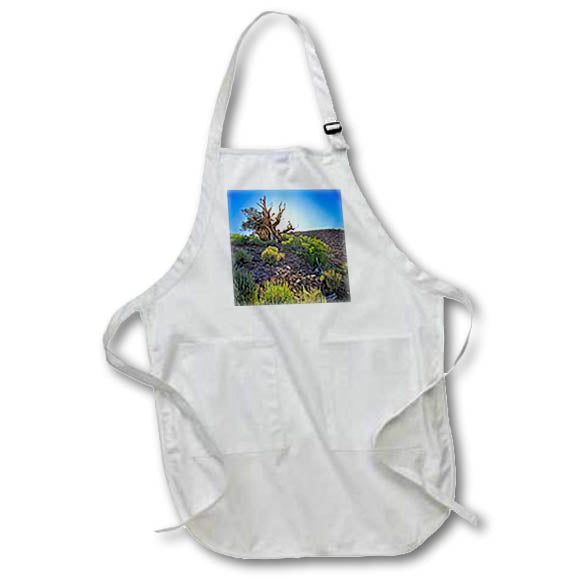 Apron - Backlit Ancient Pine in Inyo National Forest Photography Landscape