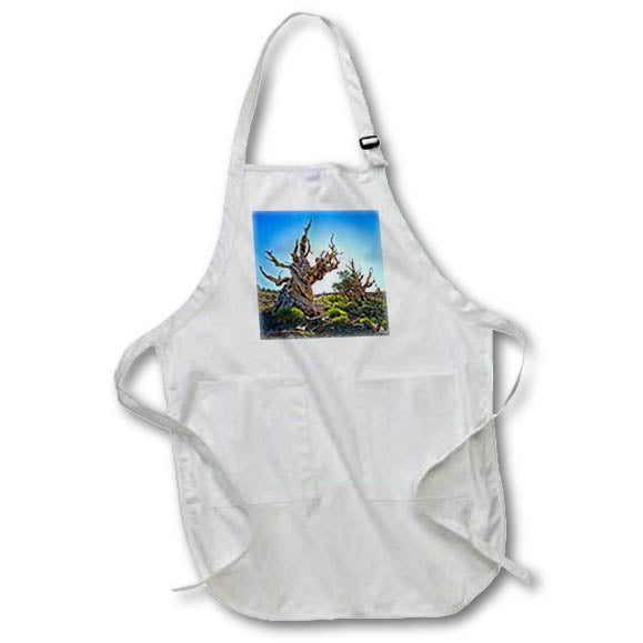 Apron - Two Backlit Ancient Pines in Inyo National Forest Photography Landscape