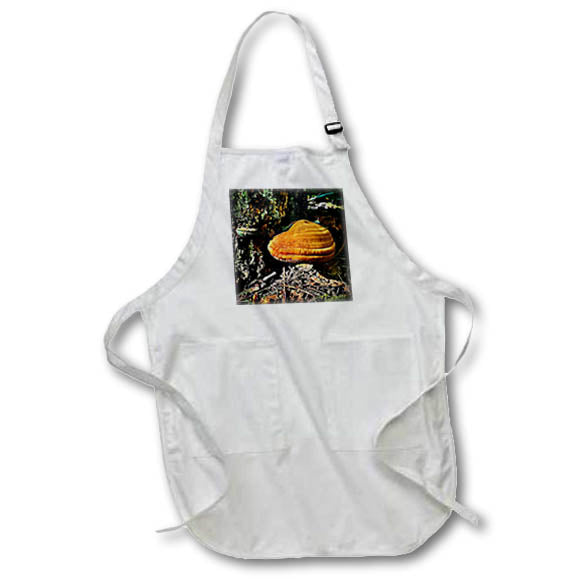 Apron - ORANGE TREE FUNGUS DYLAN SEIBOLD - PHOTOGRAPHY