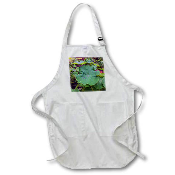 Apron - PUMKIN LEAF WITH DEW DROP PHOTO 2022 DYLAN SEIBOLD - PHOTOGRAPHY