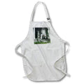 Apron - Magic Lantern Slide Visiting with Mother Victorian Sing Along Magic Lantern Slides