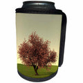 3dRose Boehm Graphics Nature - A Japanese Cherry Tree at Sunset - Can Cooler Bottle Wrap (cc_282302)
