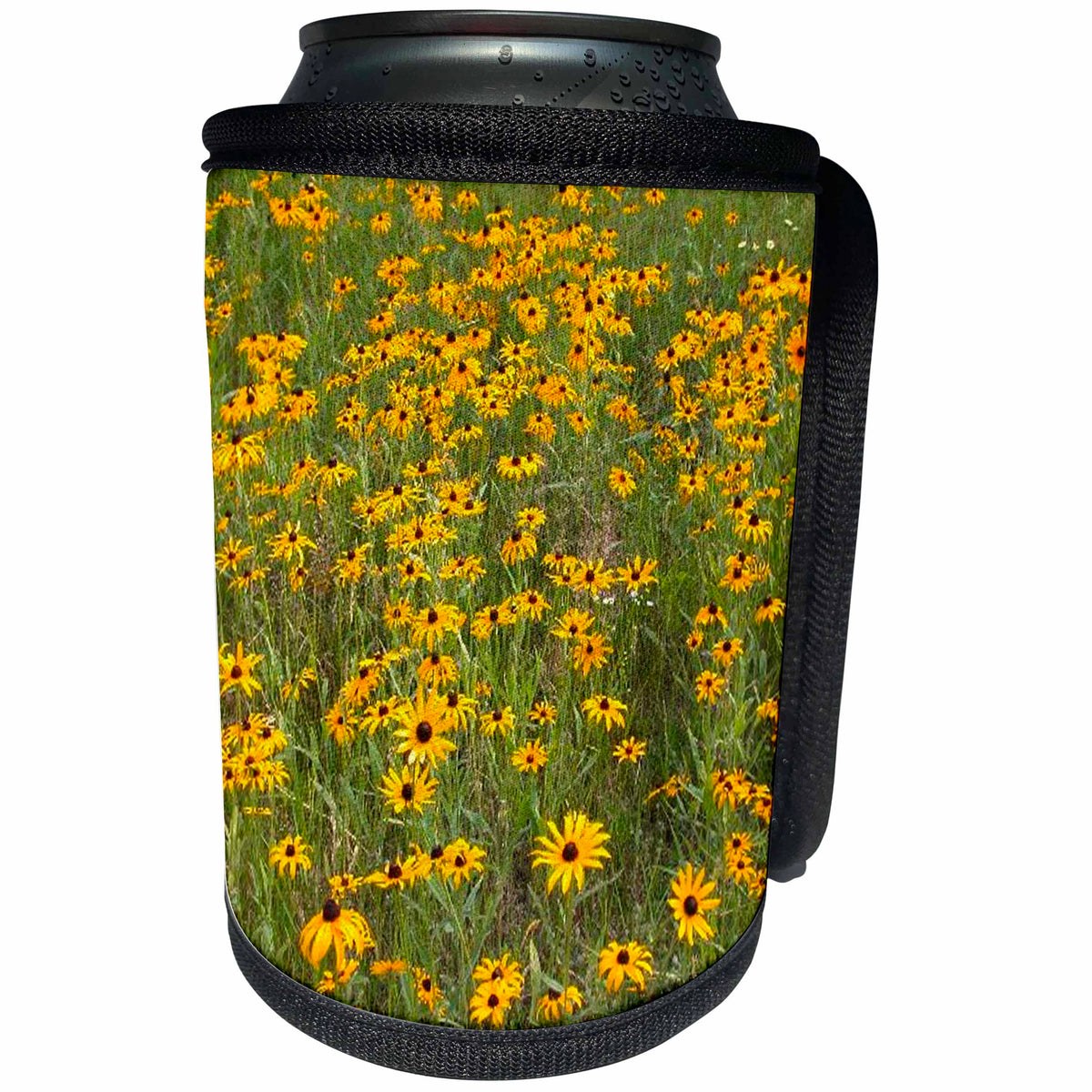 3dRose Flowers - Black Eyed Susan - Can Cooler Bottle Wrap (cc_3133)