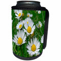 3dRose Flowers - Daisy - Can Cooler Bottle Wrap (cc_3136)