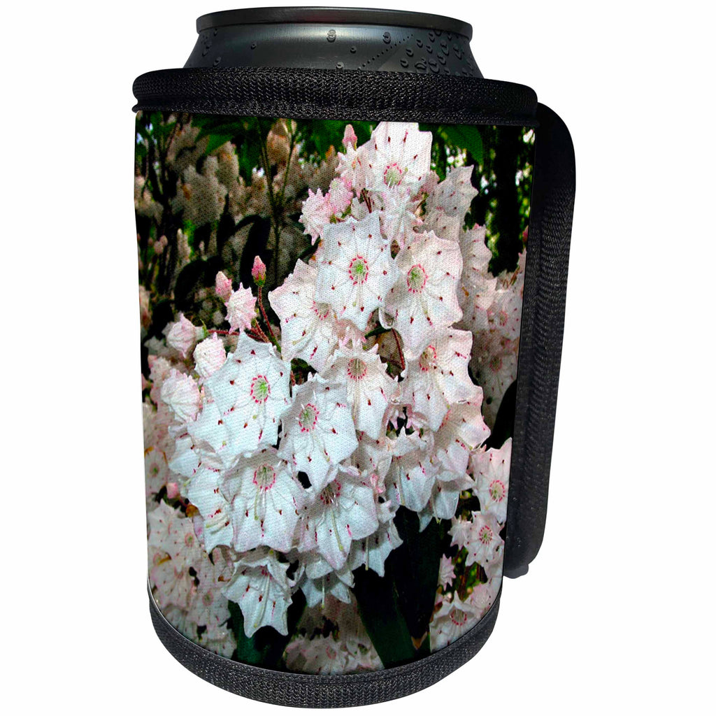 3dRose Flowers - Mountain Laurel - Can Cooler Bottle Wrap (cc_3141)