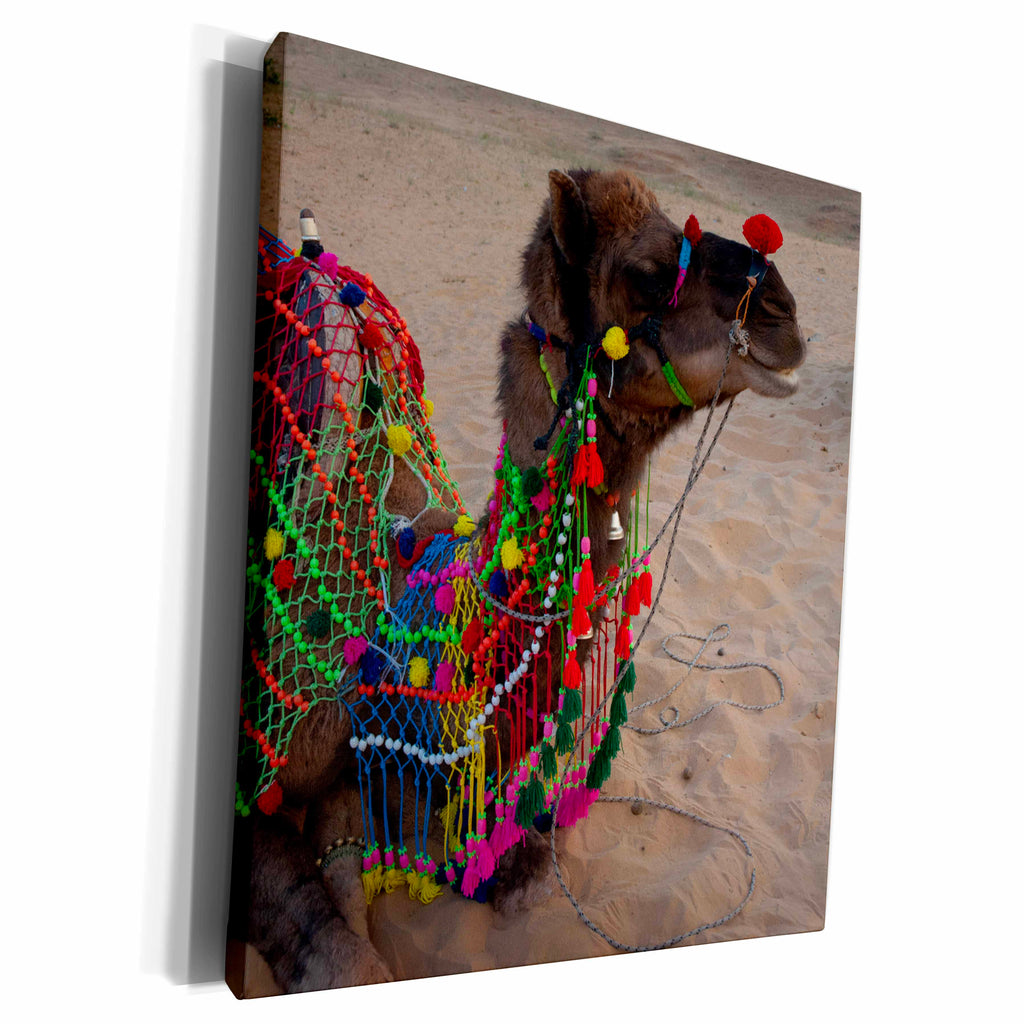 3dRose Brightly decorated camel, Pushkar, Rajasthan. - Museum Grade Canvas Wrap (cw_188234)