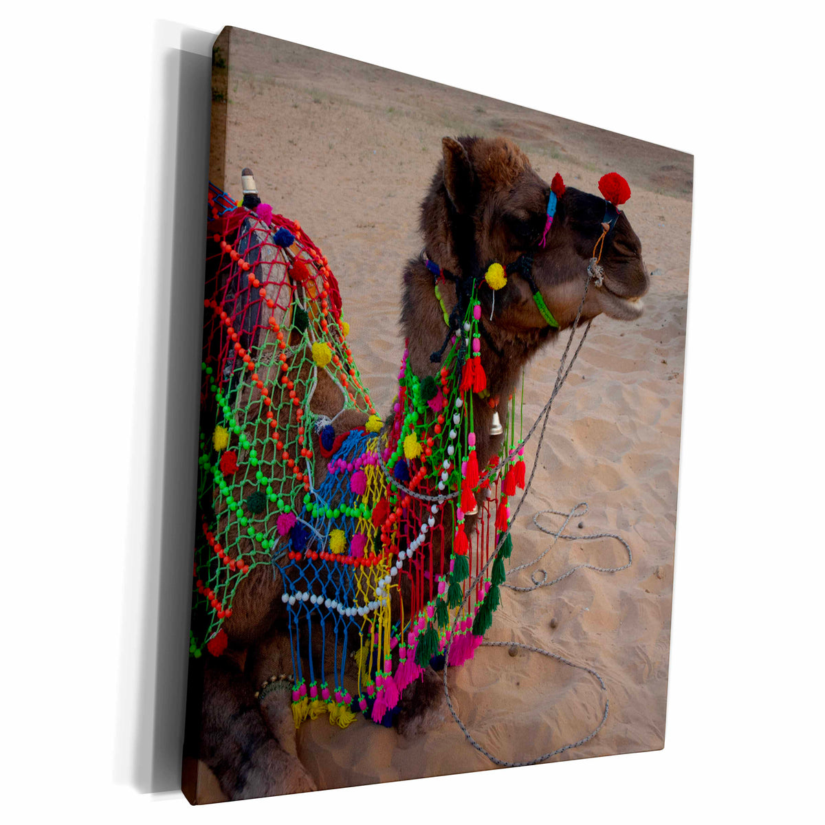 3dRose Brightly decorated camel, Pushkar, Rajasthan. - Museum Grade Canvas Wrap (cw_188234)