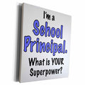 3dRose Im a school principal what is your superpower. Blue. - Museum Grade Canvas Wrap (cw_193263)