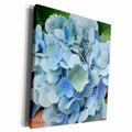 3dRose blue hydriangias - Museum Grade Canvas Wrap (cw_20056)