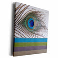 3dRose Peacock Feather with Ribbon Look - Museum Grade Canvas Wrap (cw_202273)
