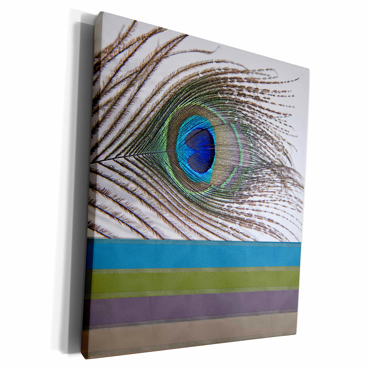 3dRose Peacock Feather with Ribbon Look - Museum Grade Canvas Wrap (cw_202273)