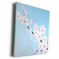 3dRose White Cherry Blossoms on a Blue Background - Museum Grade Canvas Wrap (cw_203049)