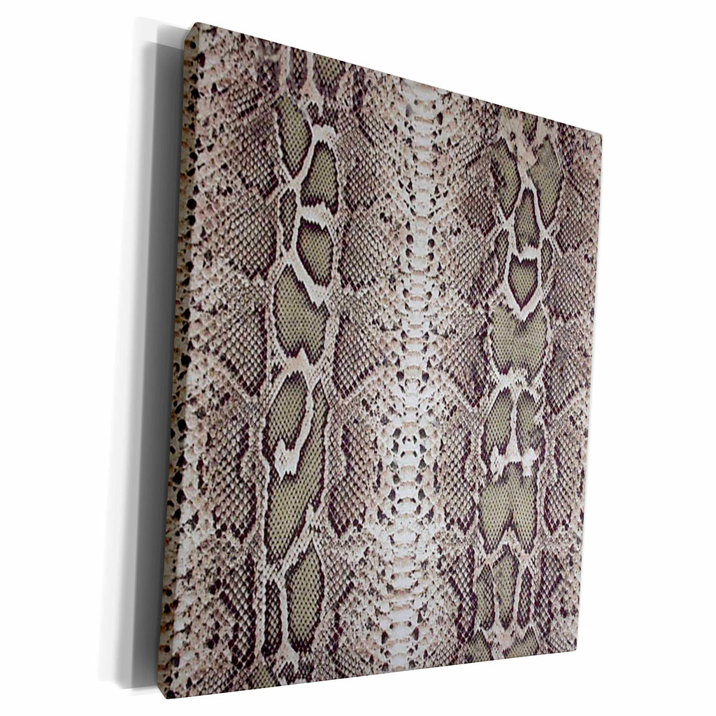 3dRose Grey Snakeskin Animal Print - Museum Grade Canvas Wrap (cw_20347)