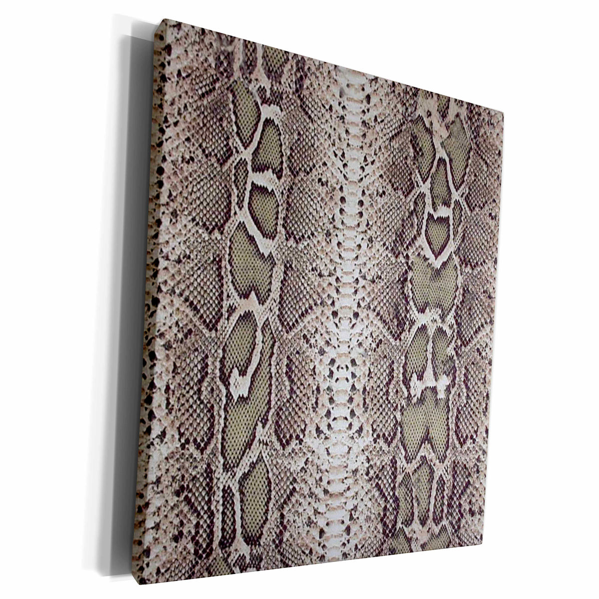 3dRose Grey Snakeskin Animal Print - Museum Grade Canvas Wrap (cw_20347)