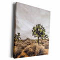 3dRose Approaching Storm at Joshua Tree - Museum Grade Canvas Wrap (cw_203923)
